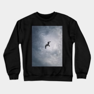 Seagull in flight Crewneck Sweatshirt